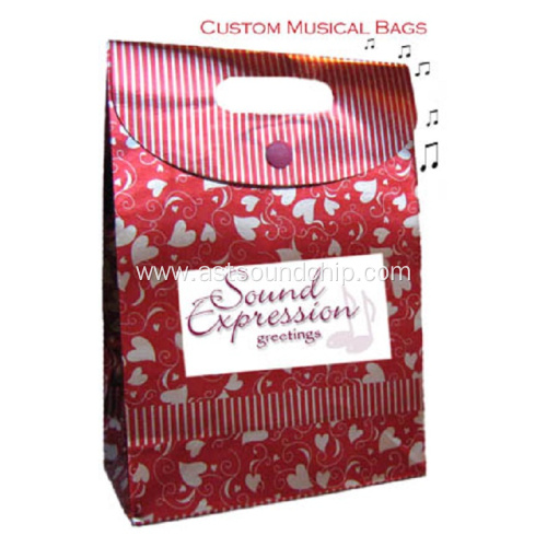 Music Paper Bag, Music Shopping Bag, Recordable Gift Bag